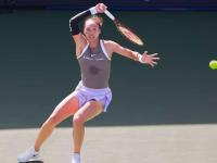 关于莎拉波娃爆冷击败瑞士队，关键助攻引爆全场！的信息