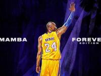 明日温网焦点战！波尔图迎战广厦男篮，横扫或上演