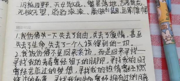 海港传射建功，泰山新星横空出世，场边球探频频记笔记